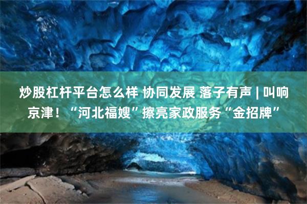 炒股杠杆平台怎么样 协同发展 落子有声 | 叫响京津！“河北福嫂”擦亮家政服务“金招牌”