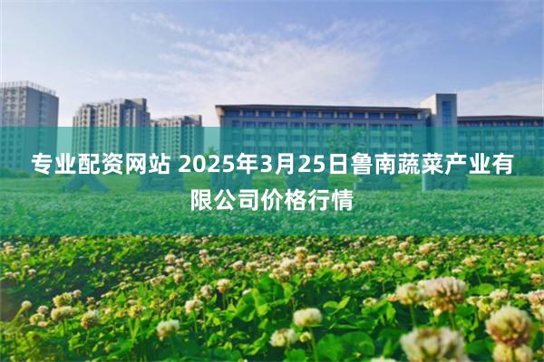专业配资网站 2025年3月25日鲁南蔬菜产业有限公司价格行情