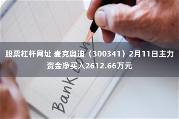 股票杠杆网址 麦克奥迪（300341）2月11日主力资金净买入2612.66万元