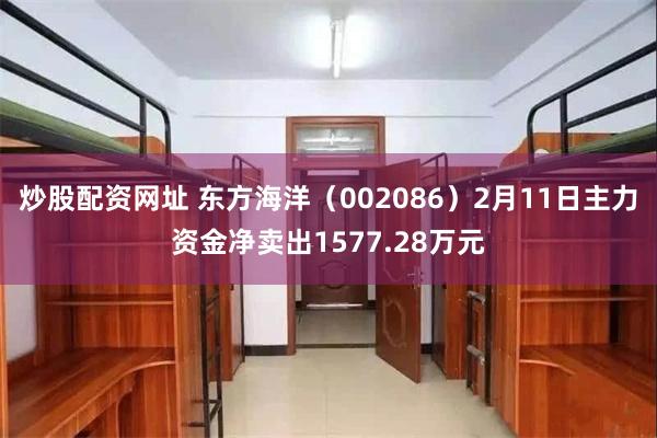 炒股配资网址 东方海洋（002086）2月11日主力资金净卖出1577.28万元