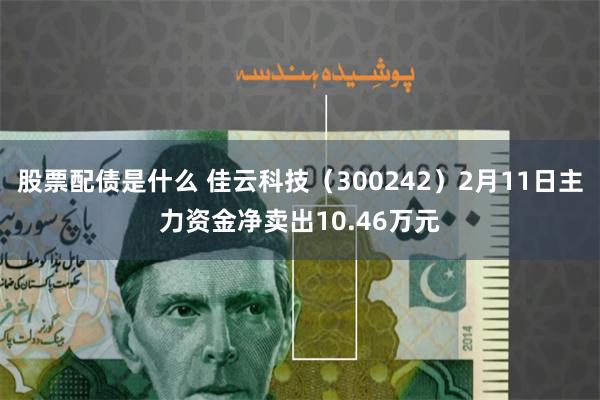 股票配债是什么 佳云科技（300242）2月11日主力资金净卖出10.46万元