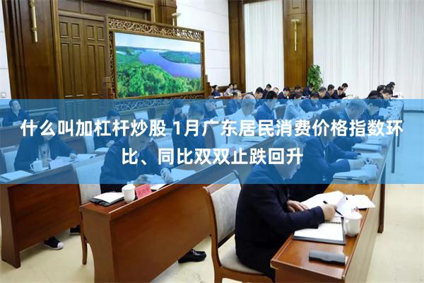 什么叫加杠杆炒股 1月广东居民消费价格指数环比、同比双双止跌回升