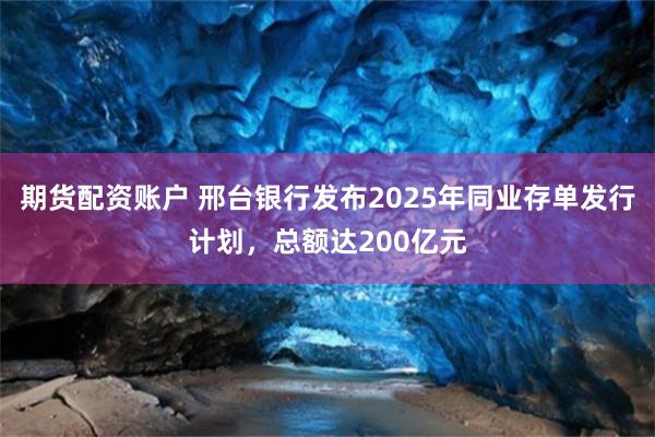 期货配资账户 邢台银行发布2025年同业存单发行计划，总额达200亿元