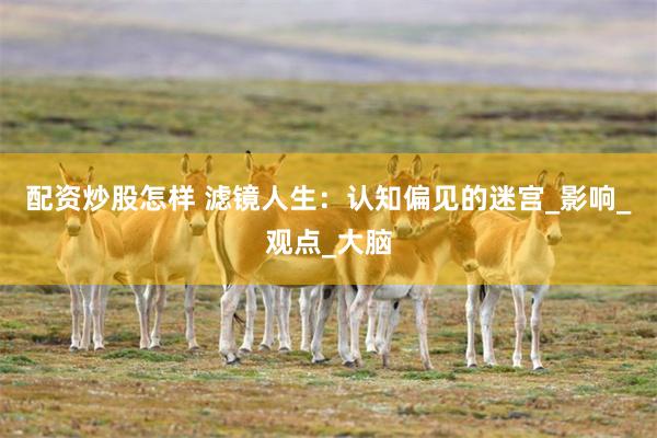 配资炒股怎样 滤镜人生：认知偏见的迷宫_影响_观点_大脑