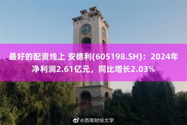 最好的配资线上 安德利(605198.SH)：2024年净利润2.61亿元，同比增长2.03%