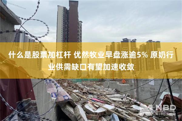 什么是股票加杠杆 优然牧业早盘涨逾5% 原奶行业供需缺口有望加速收敛