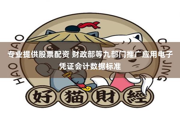 专业提供股票配资 财政部等九部门推广应用电子凭证会计数据标准