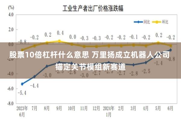 股票10倍杠杆什么意思 万里扬成立机器人公司 锚定关节模组新赛道