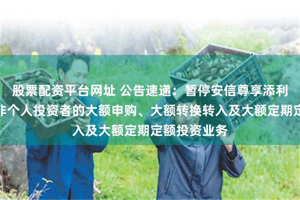 股票配资平台网址 公告速递：暂停安信尊享添利利率债基金非个人投资者的大额申购、大额转换转入及大额定期定额投资业务