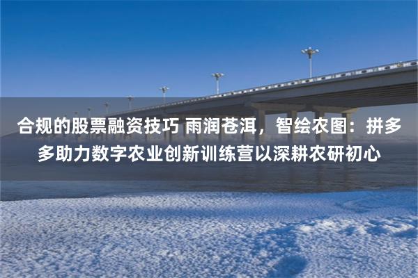 合规的股票融资技巧 雨润苍洱，智绘农图：拼多多助力数字农业创新训练营以深耕农研初心