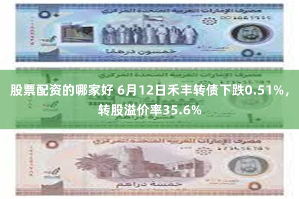 股票配资的哪家好 6月12日禾丰转债下跌0.51%，转股溢价率35.6%